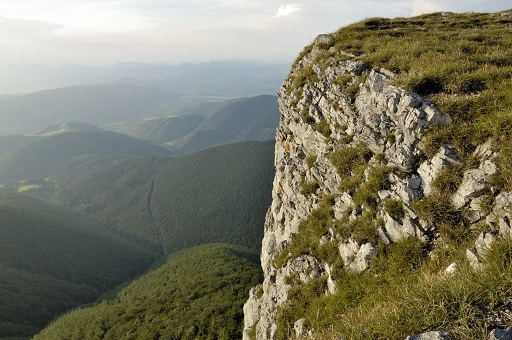 Klak od rdetailvila darinka