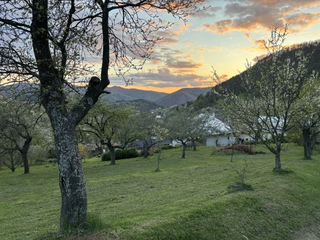 vila darinka cavoj panorama2