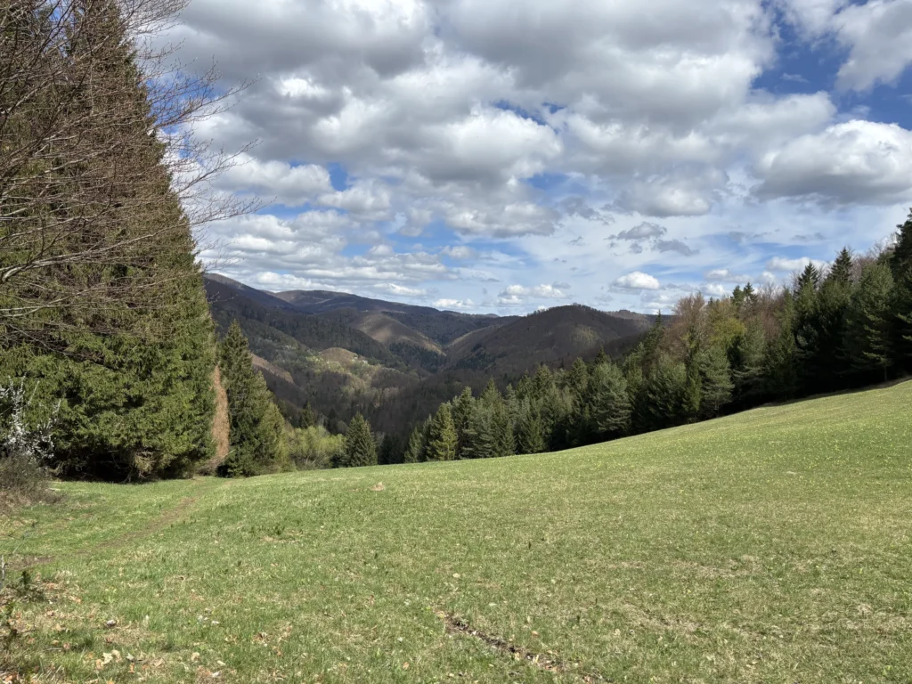 vila darinka cavoj panorama4