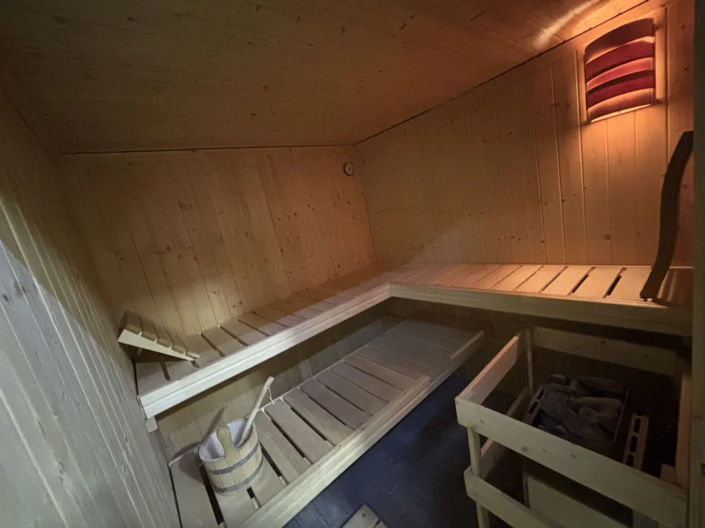 vila-darinka-cavoj-sauna